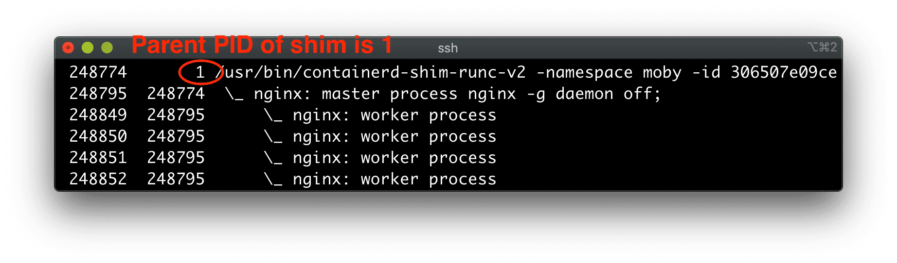 Container runtime shim is reparented to PID 1.