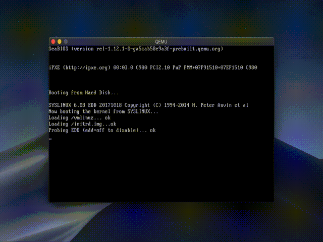 Demo - qemu virtual machine running linux.img