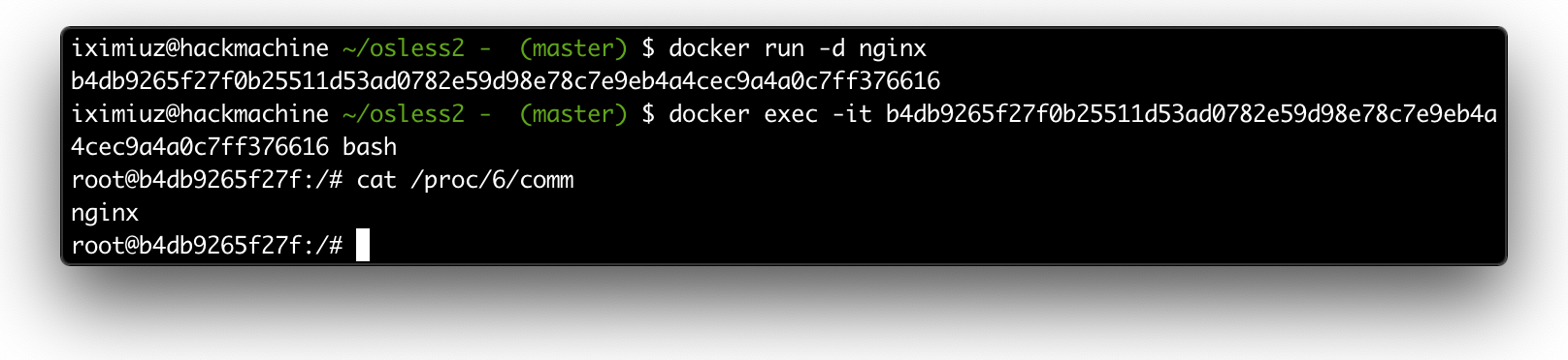 Interactive shell with running nginx container.
